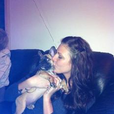 Fransk bulldog Maggie Chanel