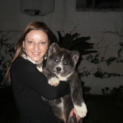 Akita inu Haku go - Haku Go 3 mdr og mit
første syn af hende..  billede 2