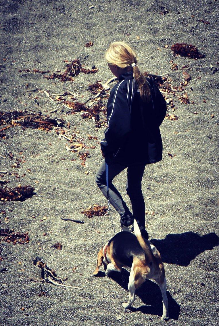 Beagle Basil - Her er på en strand i Calafornien<3:-**
Du har værett nogle steder basse.<33 billede 3