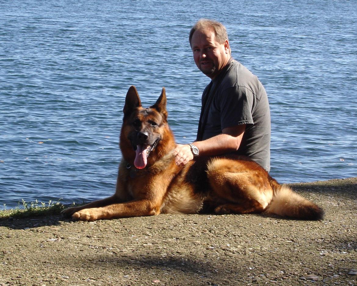 Schæferhund Studsdal Rambo - Rambo og far hygger ved Lillebæltsbroen billede 1