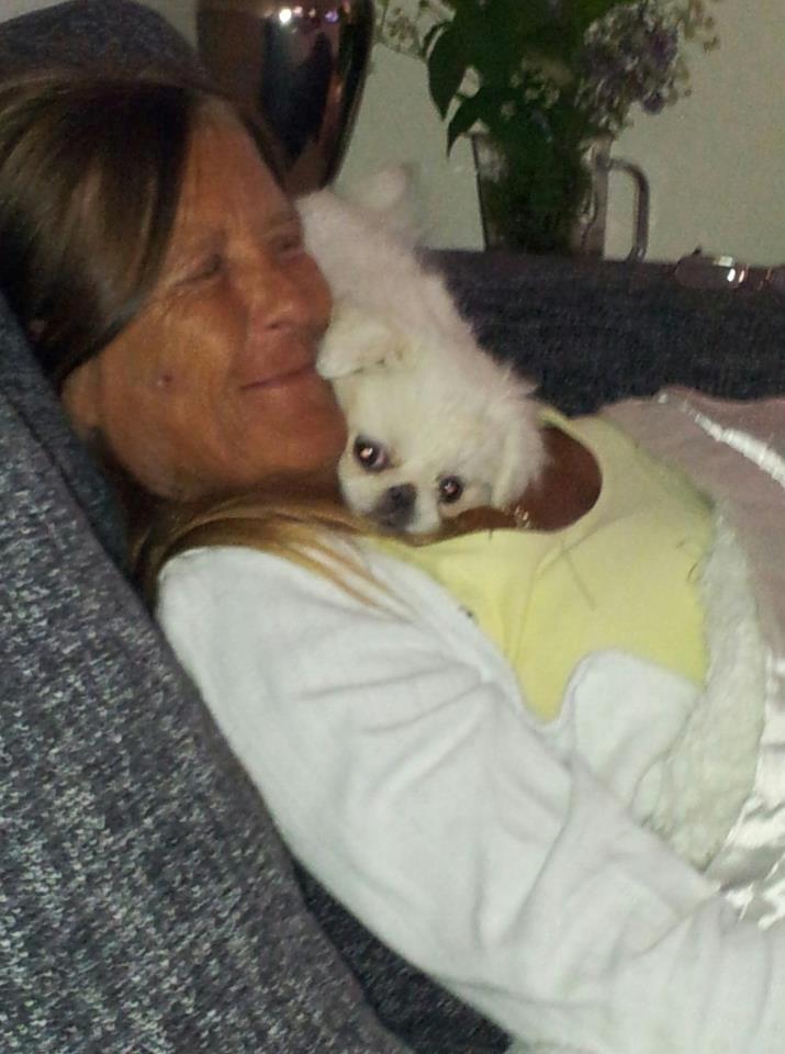 Pekingeser Diva baby - her hygger baby sig med min veninde..hun er en rigtig hyggetrold billede 3