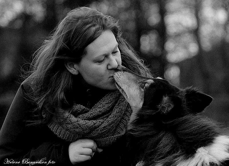 Collie langhåret Simba - sov sødt min skat! billede 19