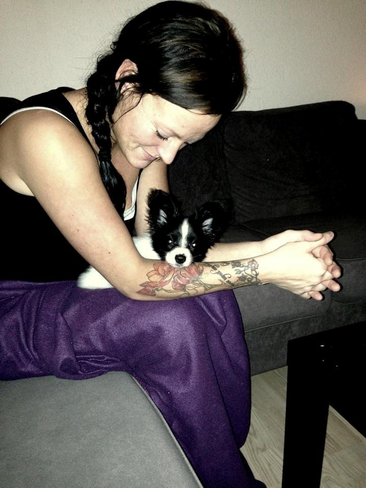 Papillon Majer-Laurits billede 4