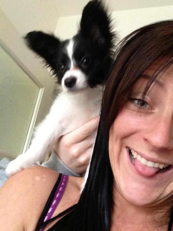 Papillon Majer-Laurits billede 5