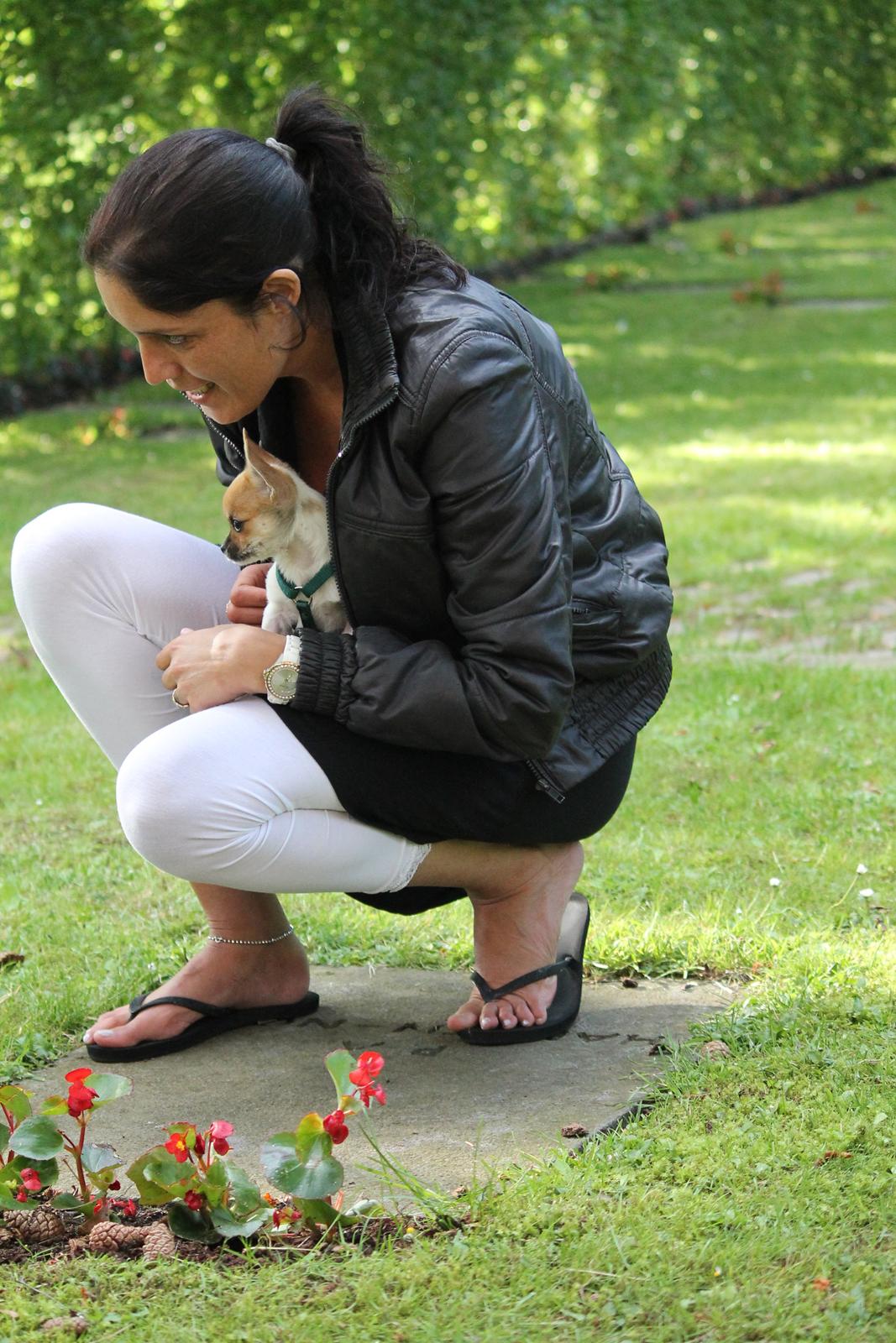 Chihuahua Milo - Lille Milo og jeg :) billede 17