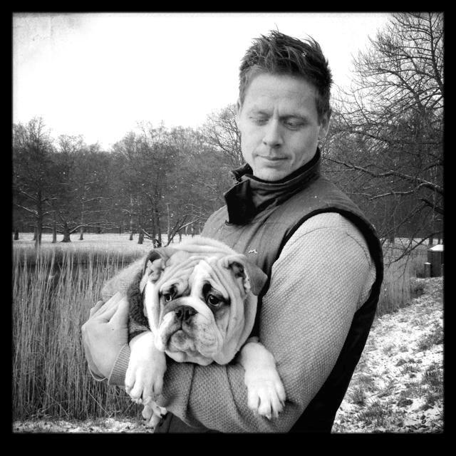 Engelsk bulldog Eigil - En fornærmet bulldog der ikke må jage ænder! billede 7