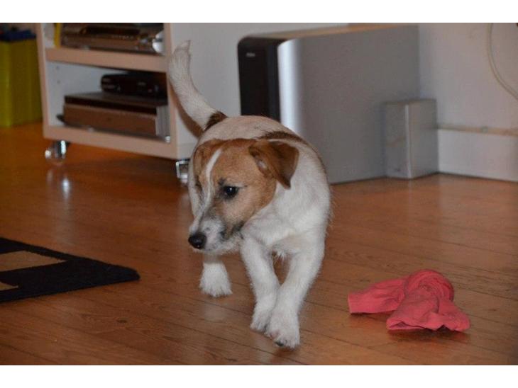 {{currentPhoto.altText}} billede {{currentPhoto.number}}