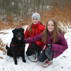 Blanding af racer Sasha