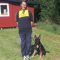 Schæferhund Allibina´s Imma (solgt)