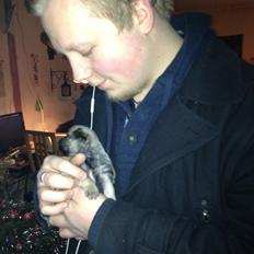 Blanding af racer Bella