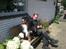 Berner sennenhund Astor