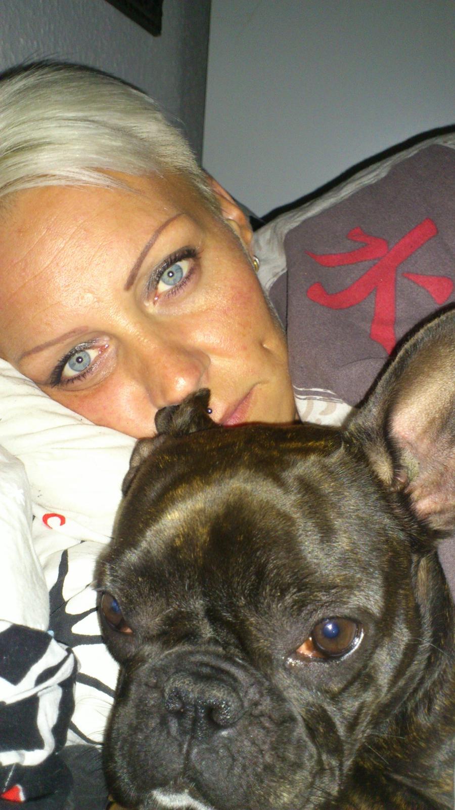 Fransk bulldog Miss Chili billede 6