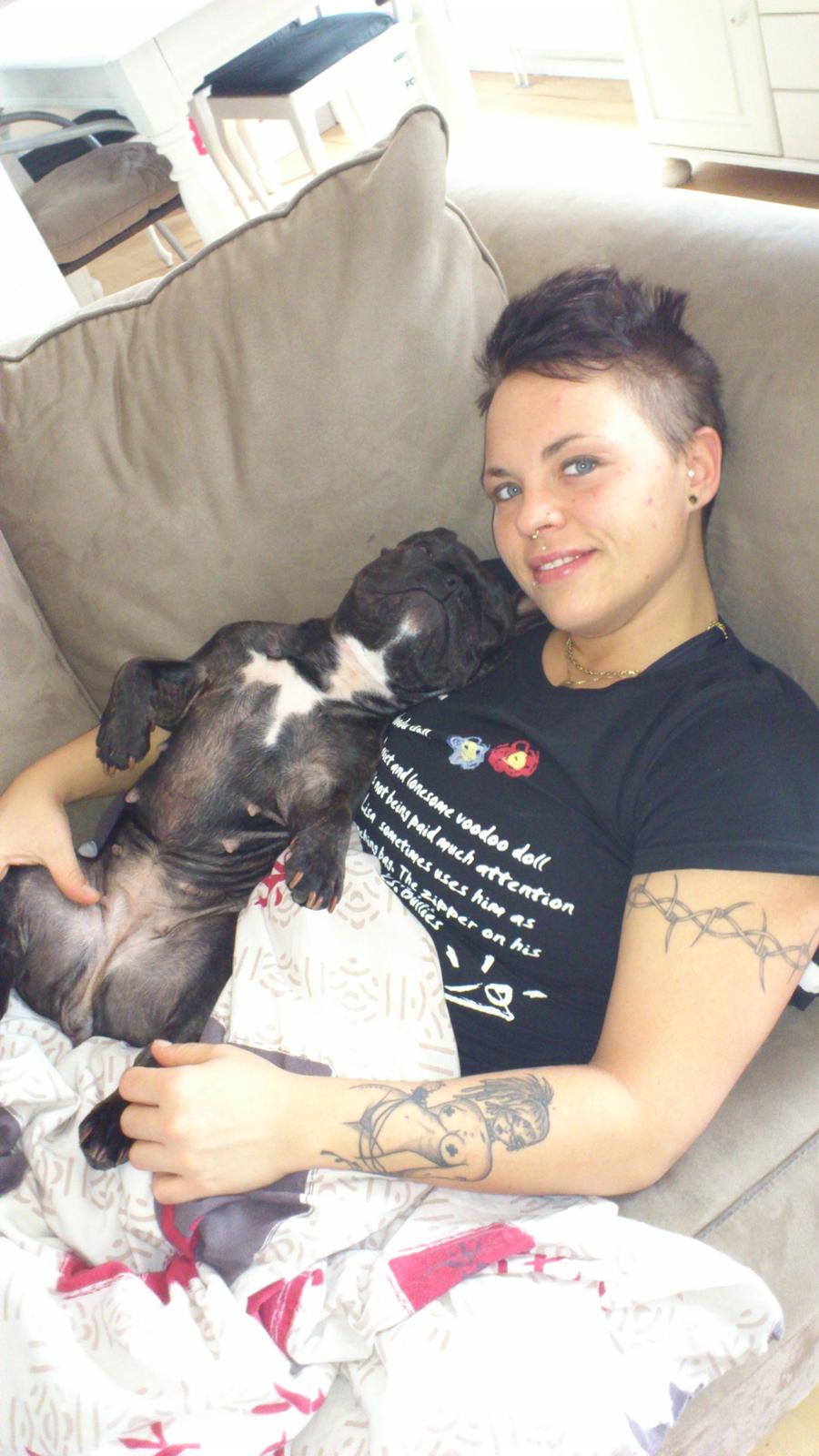 Fransk bulldog Miss Chili billede 7
