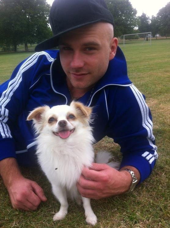 Chihuahua Loui billede 11