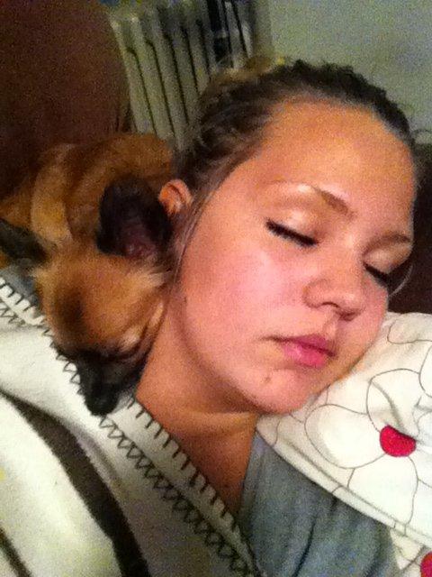 Blanding af racer Micko - Vi får os lige en lille lur :) billede 8