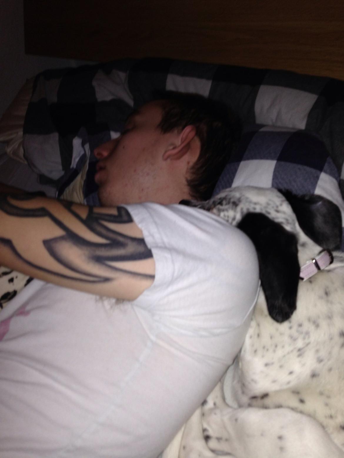 Blanding af racer trunte - trunte putter sig ved far efter han er faldet i søvn :) billede 6