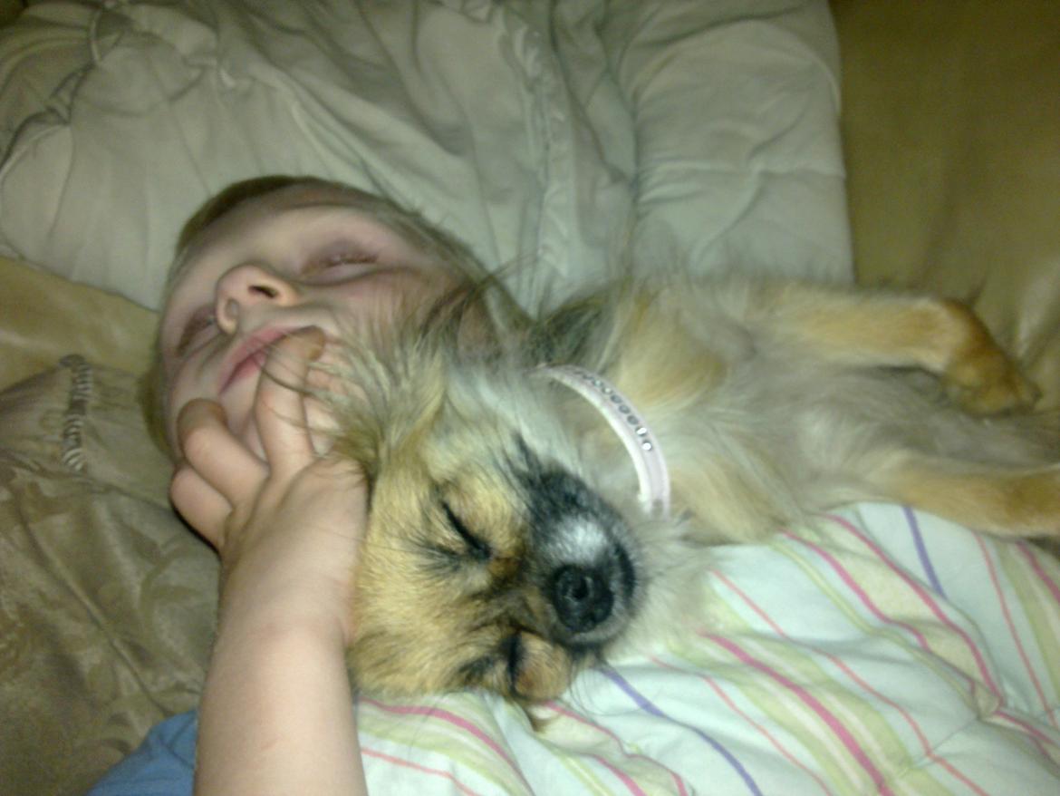 Blanding af racer Lilo billede 12