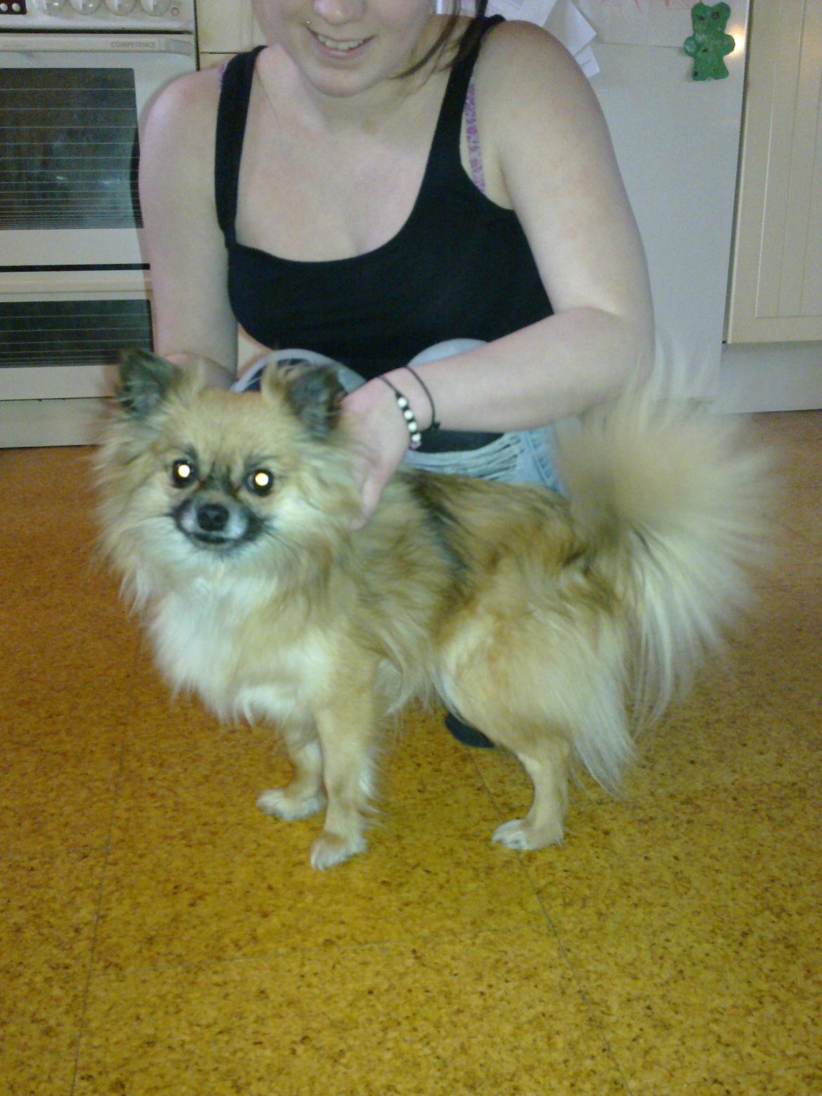 Blanding af racer Lilo billede 13