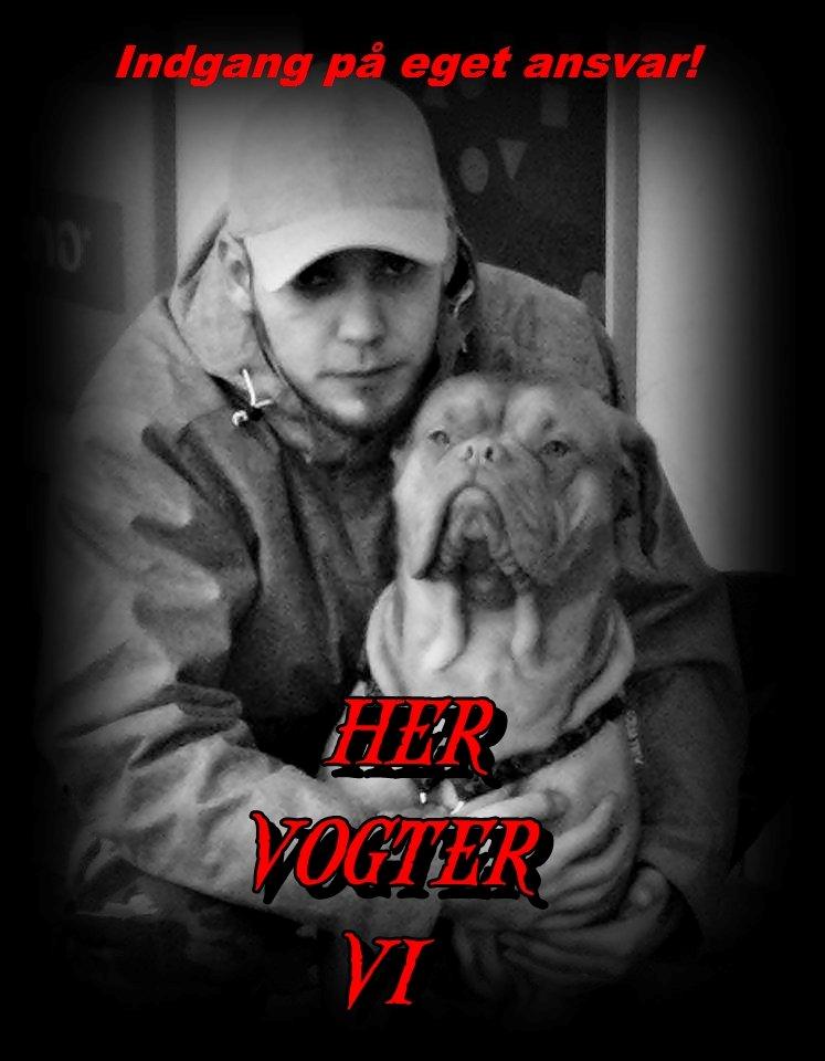 Dogue de bordeaux Emma (Tinke Grandis) billede 2