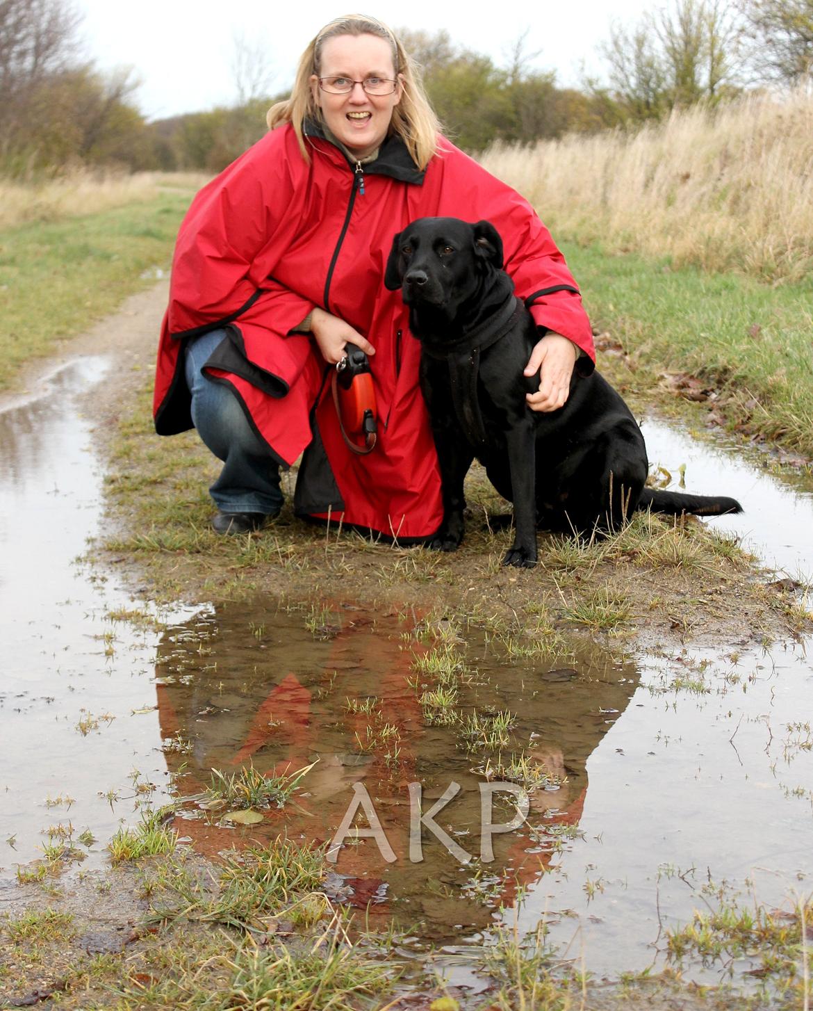 Labrador retriever Sally - Sally og min mor på gåtur.

Efteråret '12.
Billede: Mig. billede 2