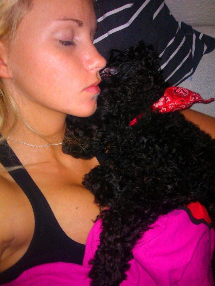 Blanding af racer Bølle billede 13