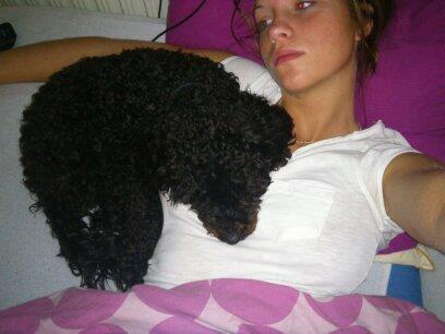 Blanding af racer Bølle billede 17