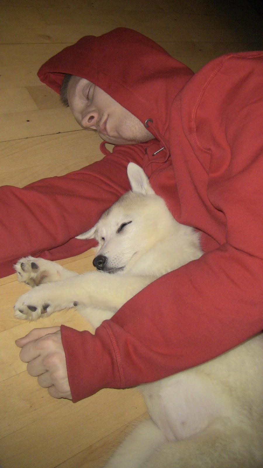 Blanding af racer Aniu billede 7