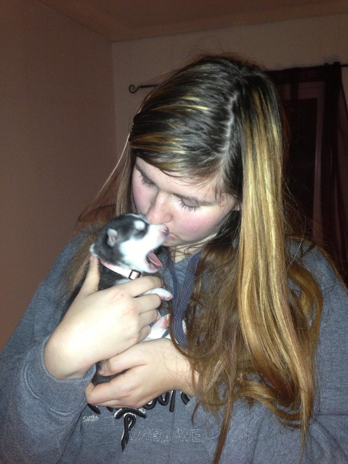 Siberian husky Miriel - Gaaab - 2-3 uger gammel billede 7