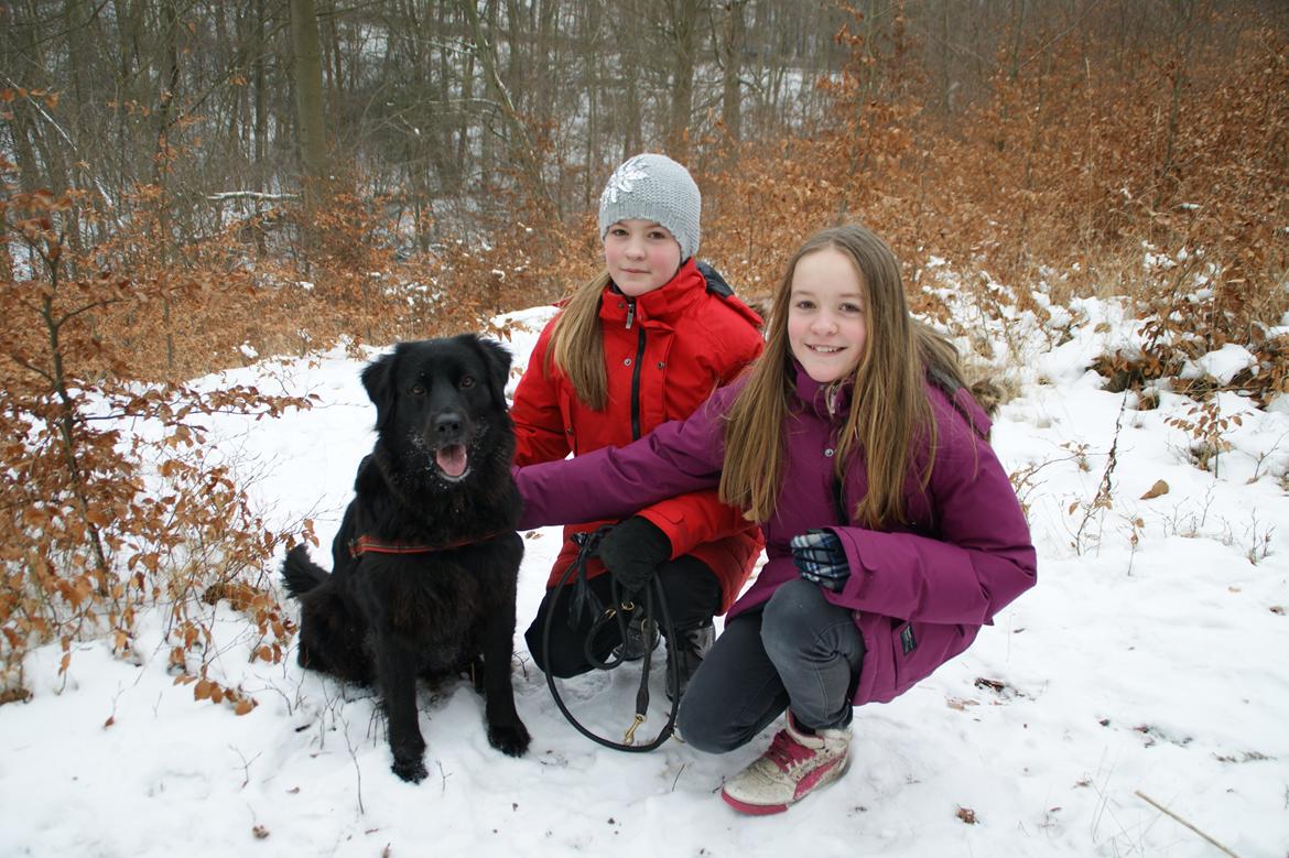 Blanding af racer Sasha - Mig, Katrine og Selina mine to passere legekamarater. billede 2