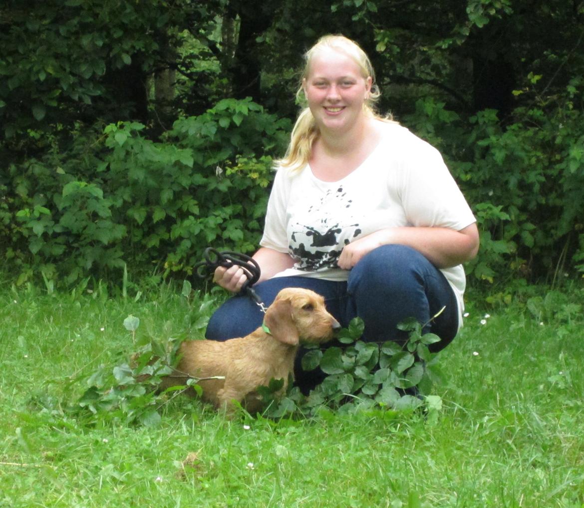 Gravhund Sønderskoven's K-Cocio - vores 1 sporprøve - med 1 pr. og 2 bøgegrene! - stolt ejer :) billede 18