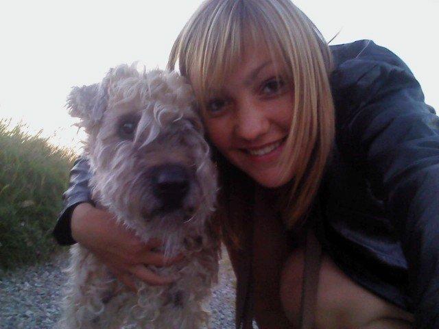 Irish softcoated wheaten terrier Nica billede 9