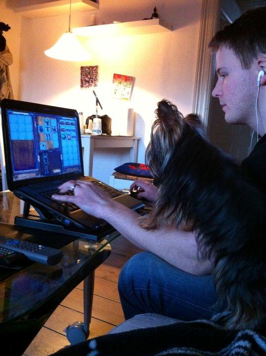 Yorkshire terrier Killah - Far's computerspil er meget spændende :p billede 9