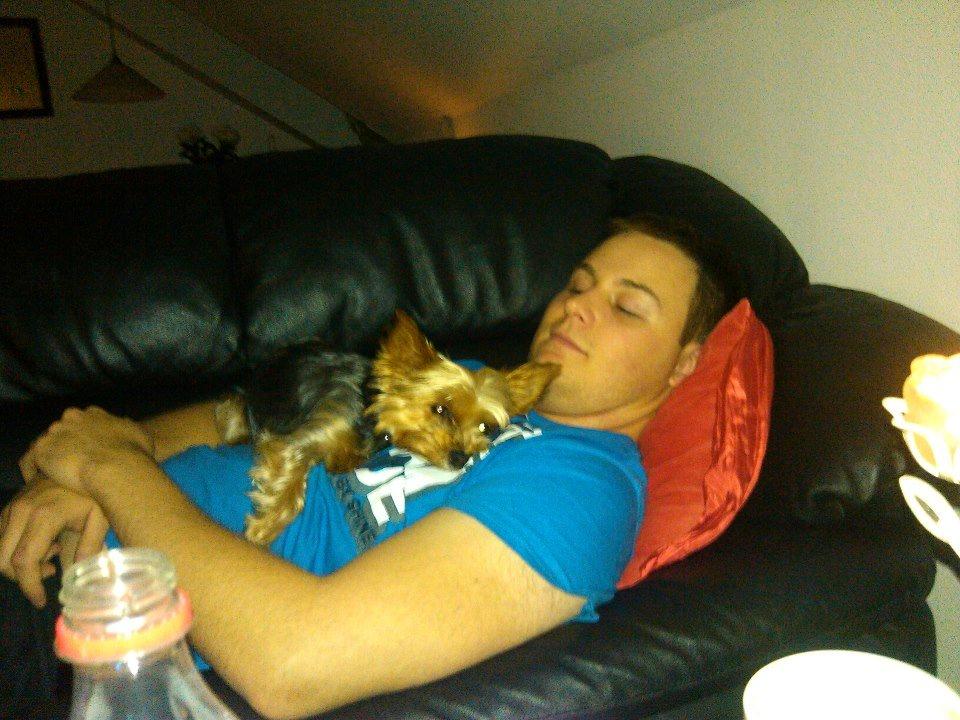 Yorkshire terrier Killah - Putter med far ;) billede 10