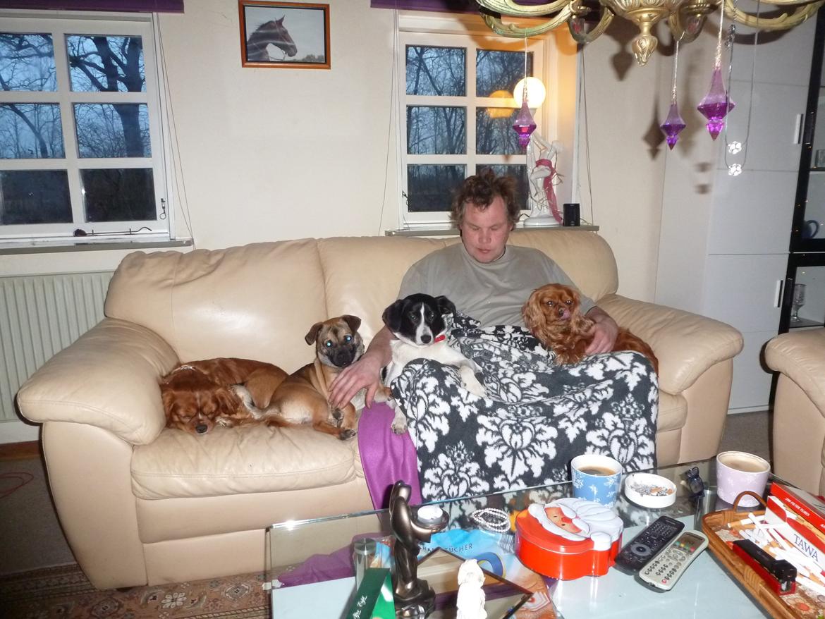 Blanding af racer Molly billede 2