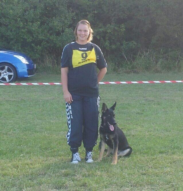 Schæferhund Allibina´s Imma (solgt) - Kombiskue billede 3