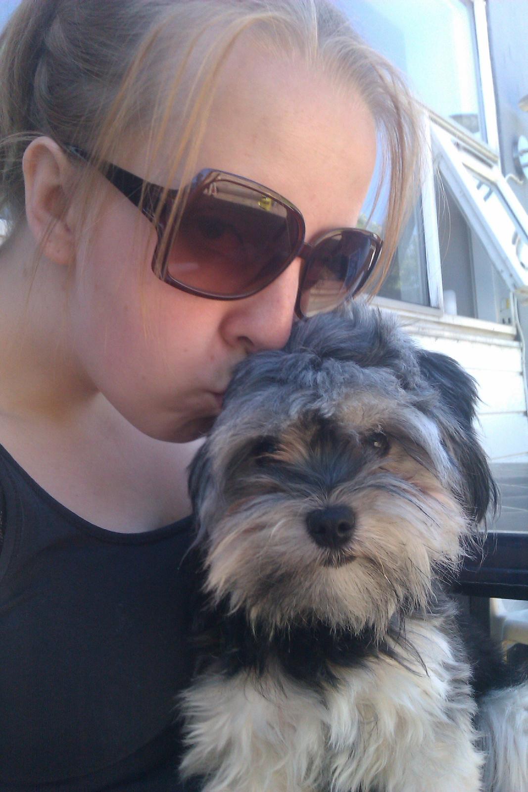 Løwchen Naomi billede 12