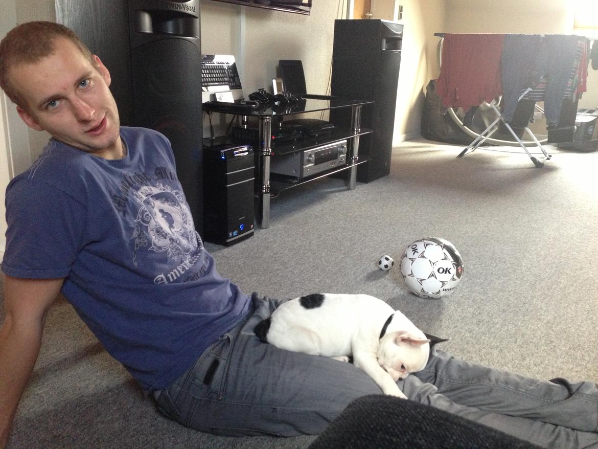 Fransk bulldog Messi - De to skønne! <3 billede 15