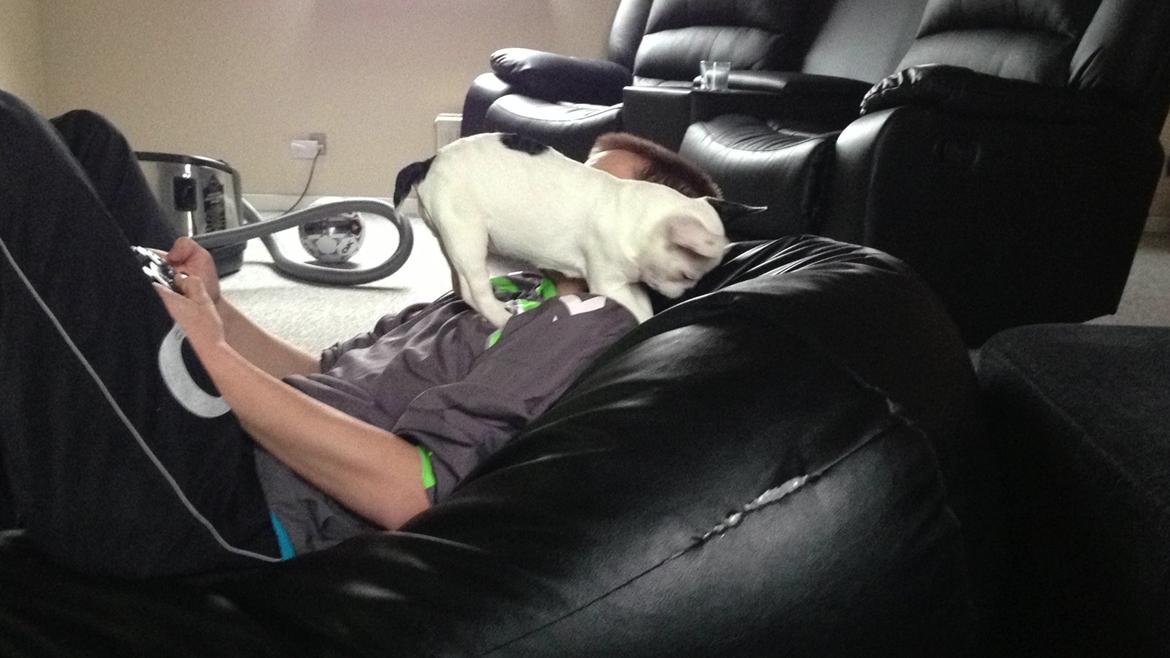 Fransk bulldog Messi - Så bliver der spillet Fifa. Eller.. Thomas forsøger at spille, men Messi synes tilsyneladende at det er meget sjovere at angribe i hovedet.  billede 7