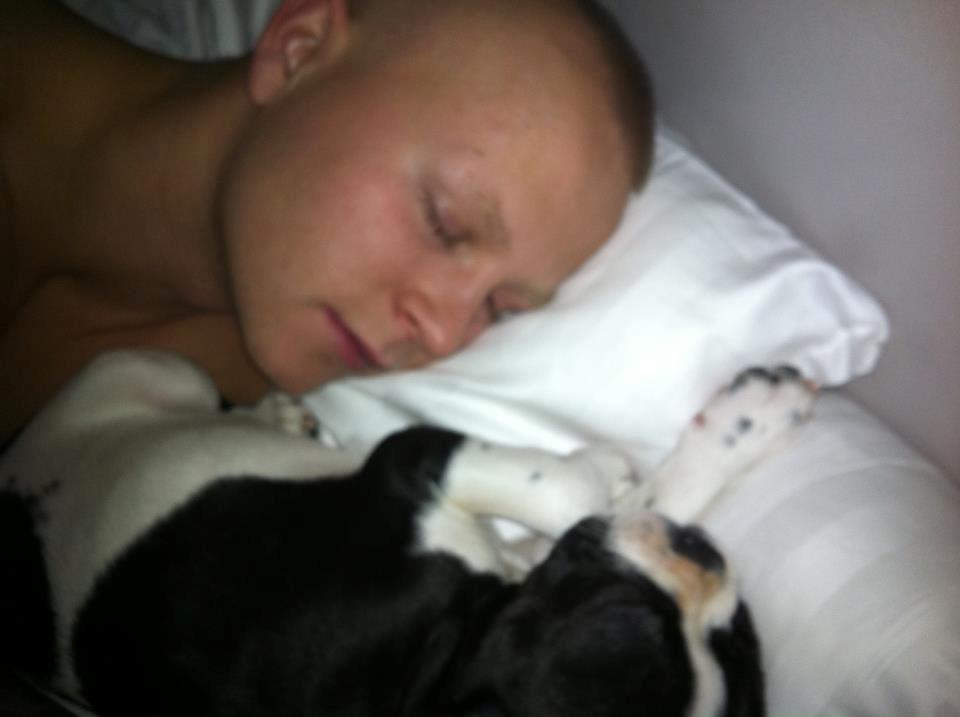 Blanding af racer Zeus - når møvs og far putter billede 3