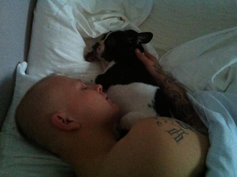 Blanding af racer Zeus billede 9