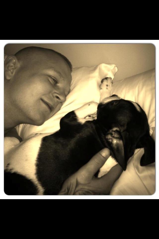 Blanding af racer Zeus billede 12