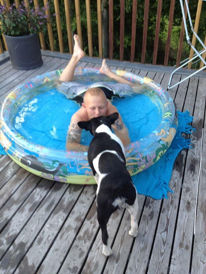 Blanding af racer Zeus billede 17