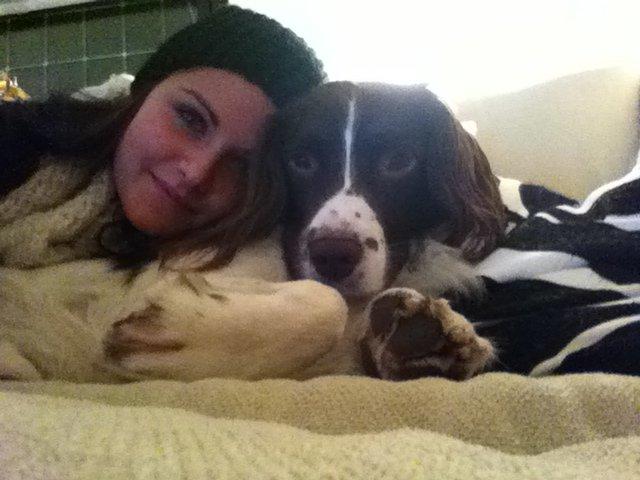 Engelsk springer spaniel Dyrlundgårds Chuck - Han elsker vores samvær, lige så meget som vi elsker hans :) billede 4