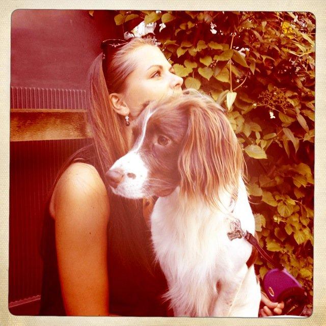 Engelsk springer spaniel Dyrlundgårds Chuck - Der bliver oplevet inde hos storebror i København :) billede 8