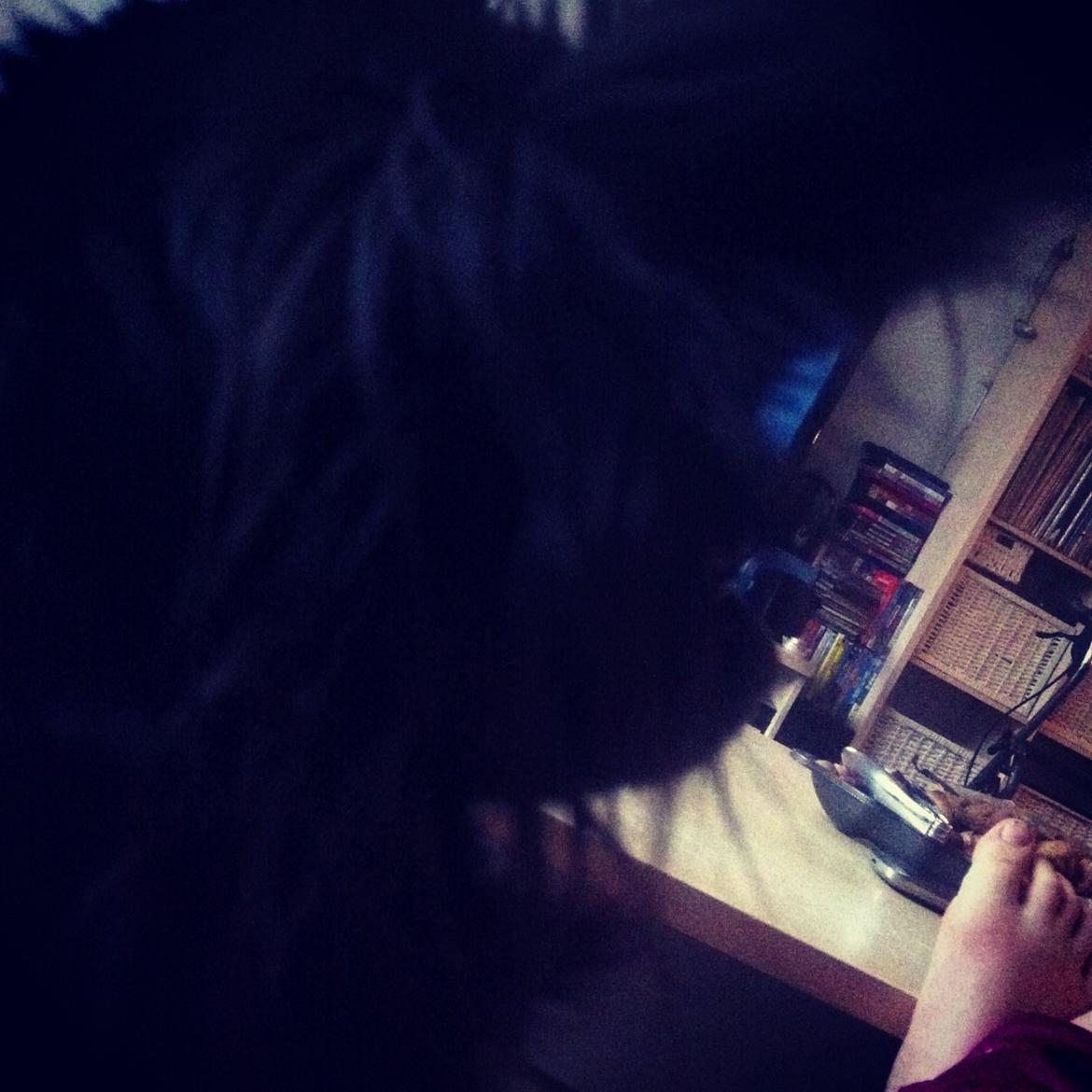 Chihuahua Livi (himmelhund) - tak fordi du kiggede forbi! husk at bedømme <3 billede 15