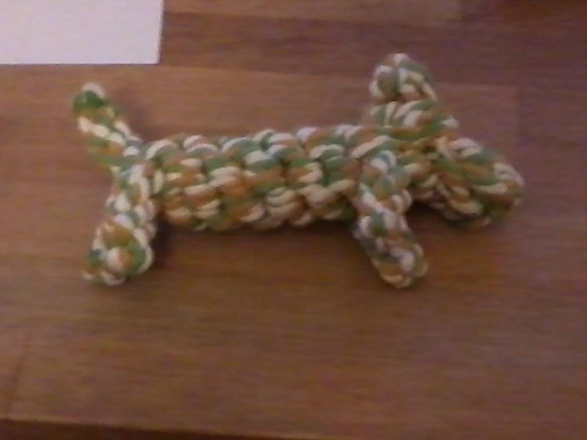 Bichon à poil frisé Smilla (Himmelhund) billede 9