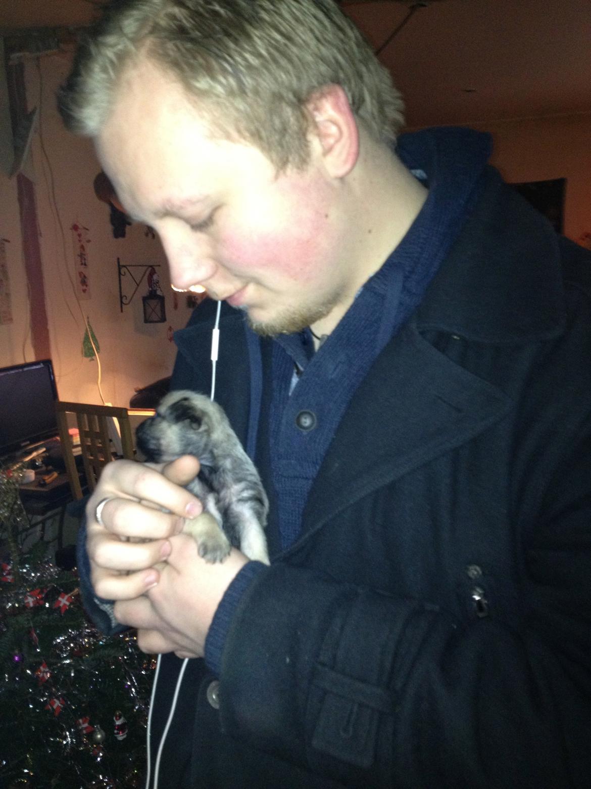 Blanding af racer Bella - Min bror var da også nødt til at sige hej. billede 3