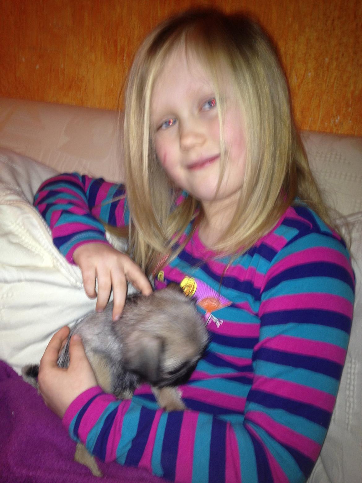 Blanding af racer Bella - Lige da vi havde fået Bella hjem, min søster sidder med hende. billede 11