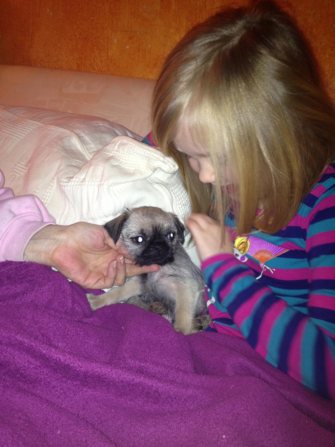 Blanding af racer Bella - Ren råhygge, min søster blev også forelsket med det samme. :D billede 12