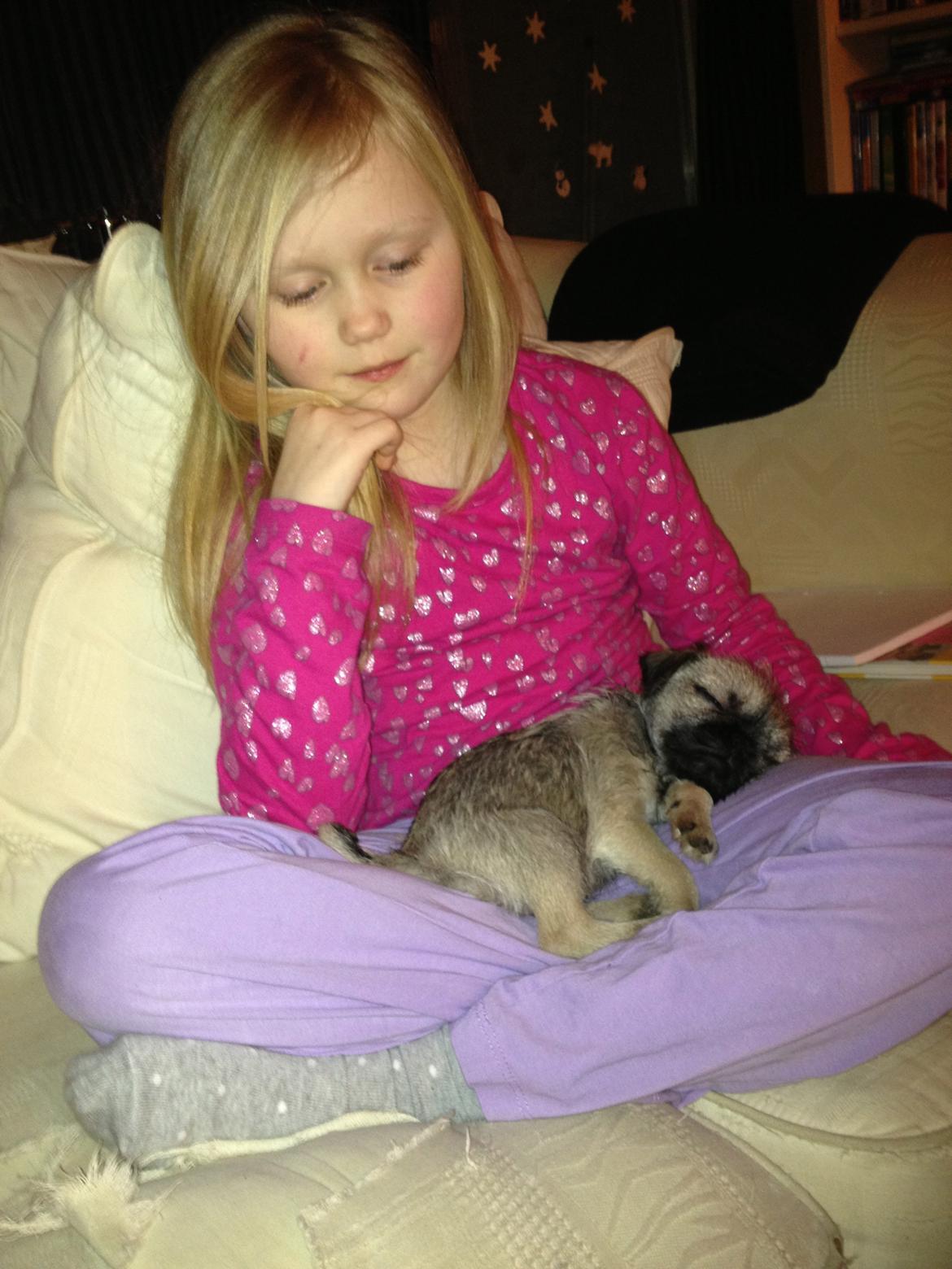 Blanding af racer Bella - Så er det sove tid. åååhhh. :') billede 17